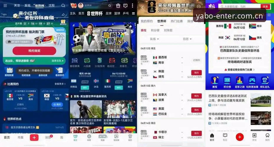 亚博官方正版功能详解 世界杯观赛受阻?亚博体育平台新手必备实用指南,带你了解赛事背后的签证困局